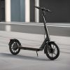 Foldable Kick Scooter